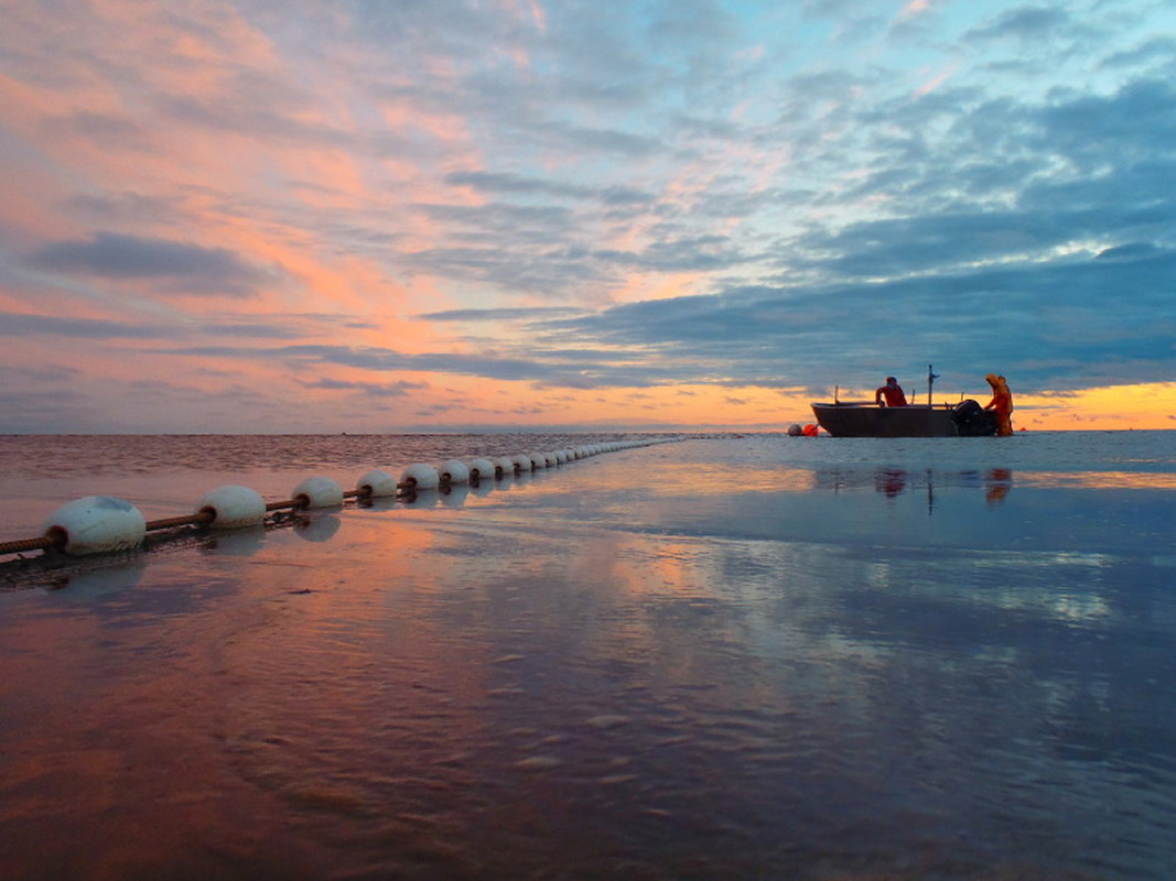 收获阿拉斯加海鲜