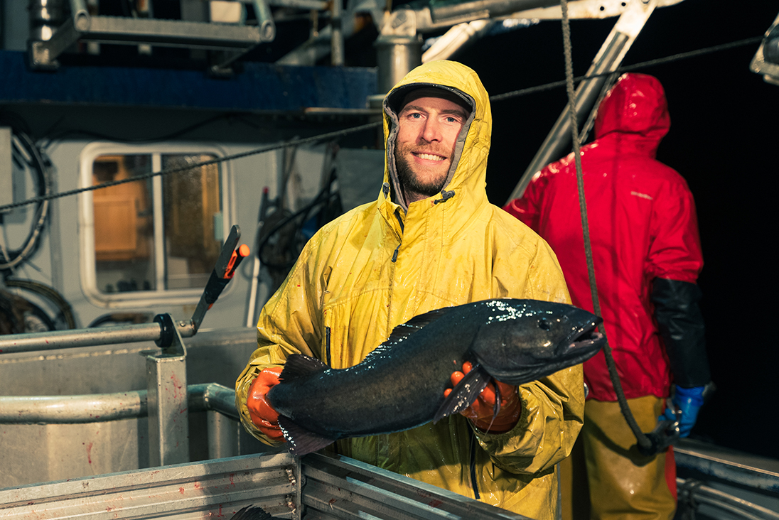 阿拉斯加黑鳕鱼