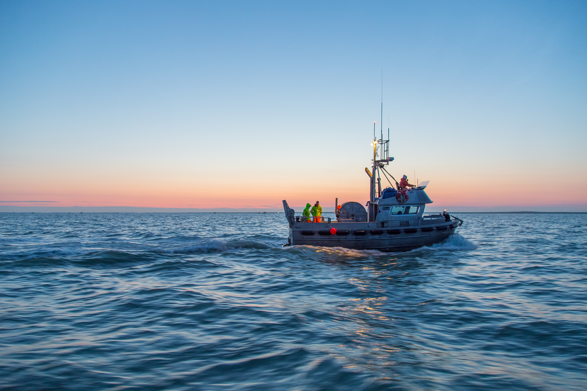 阿拉斯加天然环境
